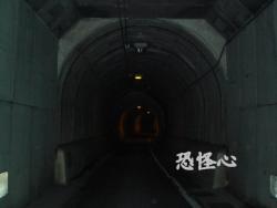 �ʑ��Ŋg��