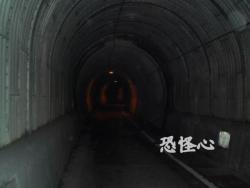 �ʑ��Ŋg��