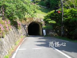 �ʑ��Ŋg��