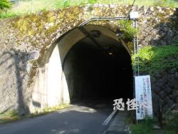 �ʑ��Ŋg��