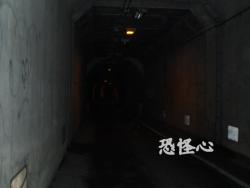 �ʑ��Ŋg��