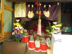 �ʑ��Ŋg��