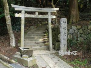 �ʑ��Ŋg��