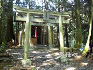 �ʑ��Ŋg��