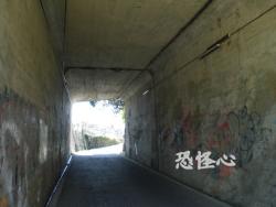 �ʑ��Ŋg��