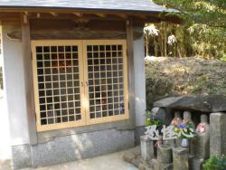 �ʑ��Ŋg��