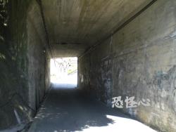 �ʑ��Ŋg��