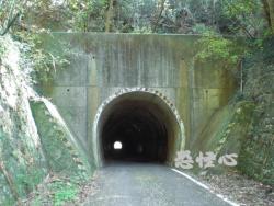 �ʑ��Ŋg��