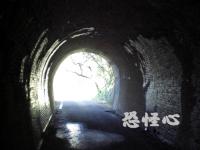 �ʑ��Ŋg��