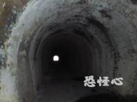 �ʑ��Ŋg��