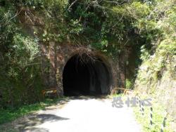 �ʑ��Ŋg��