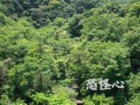 �ʑ��Ŋg��