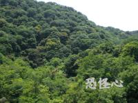 �ʑ��Ŋg��