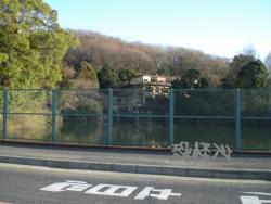 �ʑ��Ŋg��