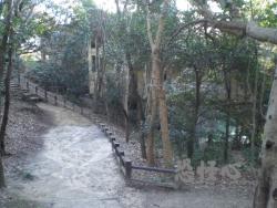 �ʑ��Ŋg��