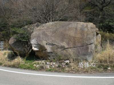 �ʑ��Ŋg��