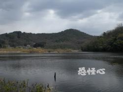 �ʑ��Ŋg��