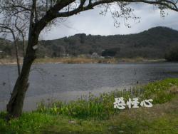 �ʑ��Ŋg��