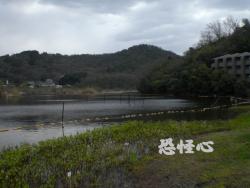 �ʑ��Ŋg��