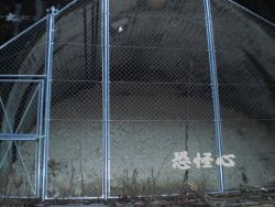 �ʑ��Ŋg��