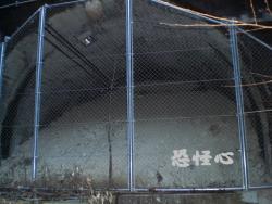 �ʑ��Ŋg��