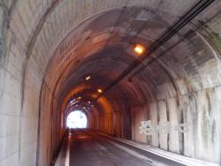 �ʑ��Ŋg��