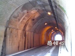 �ʑ��Ŋg��