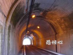 �ʑ��Ŋg��