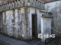 �ʑ��Ŋg��