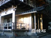 �ʑ��Ŋg��