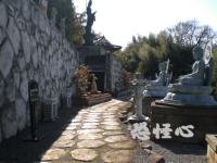 �ʑ��Ŋg��