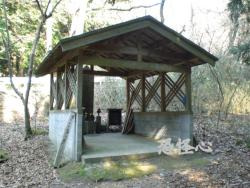 �ʑ��Ŋg��