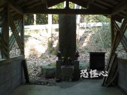 �ʑ��Ŋg��