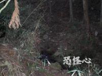 �ʑ��Ŋg��