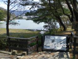 �ʑ��Ŋg��