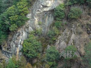 �ʑ��Ŋg��