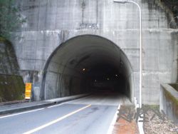 �ʑ��Ŋg��