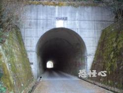 �ʑ��Ŋg��