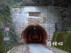 �ʑ��Ŋg��