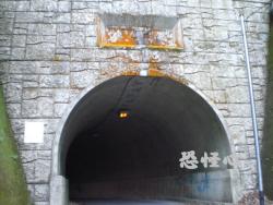 �ʑ��Ŋg��