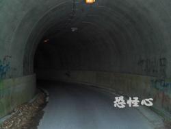 �ʑ��Ŋg��