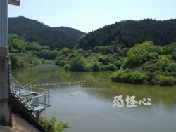 �ʑ��Ŋg��