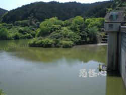 �ʑ��Ŋg��