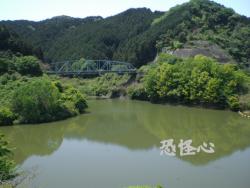 �ʑ��Ŋg��