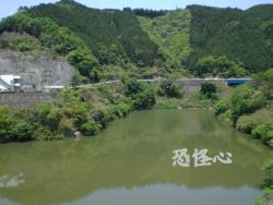 �ʑ��Ŋg��