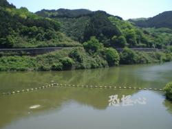 �ʑ��Ŋg��