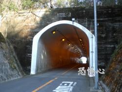 �ʑ��Ŋg��