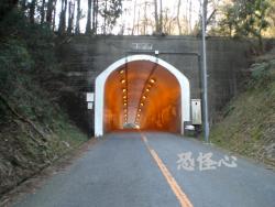 �ʑ��Ŋg��