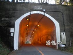 �ʑ��Ŋg��