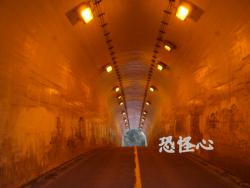 �ʑ��Ŋg��